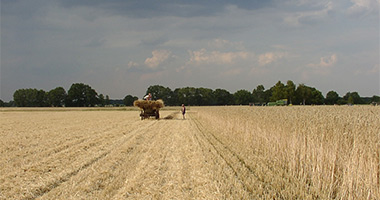 Zeitlebens - Agentur für Biographie - Ernte Zeitlebens - Agentur für Biographie - Ernte